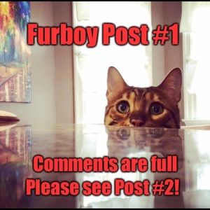 COMMENTS FULL!! 💚🐾